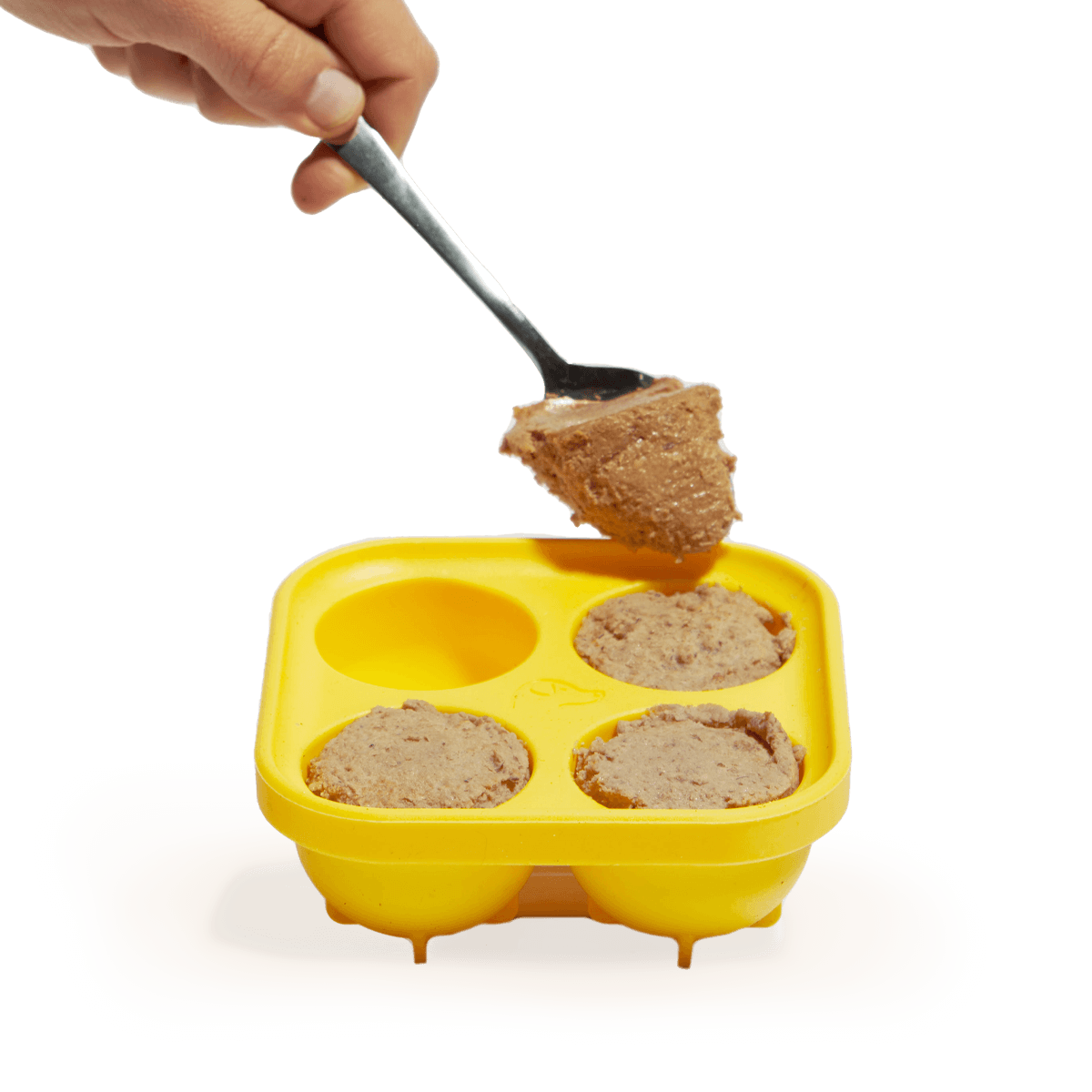 Pupsicle Treat Tray: Large | Woof
