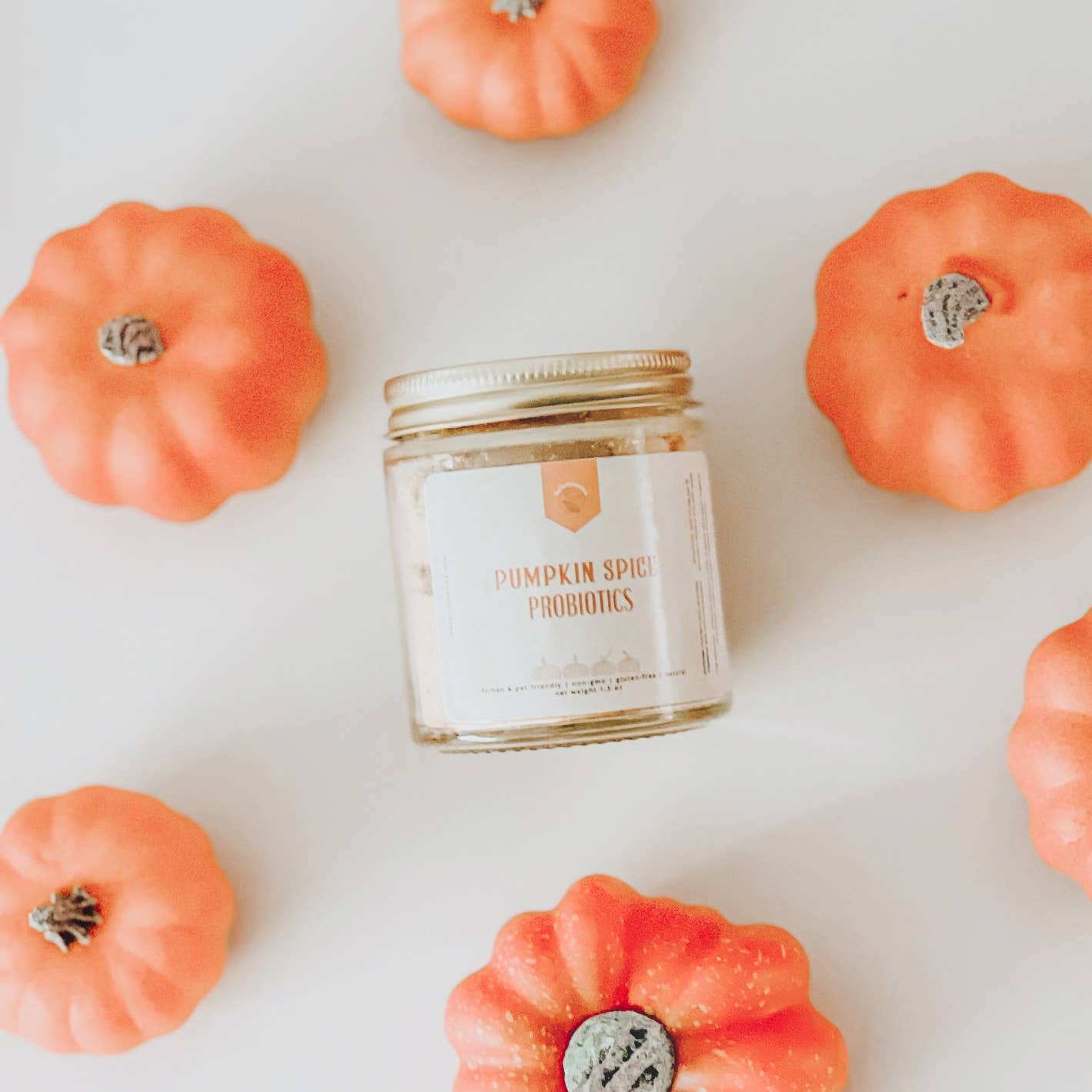 Organic Pumpkin Spice Probiotics Supplement: Coconut Milk | Holisticanine