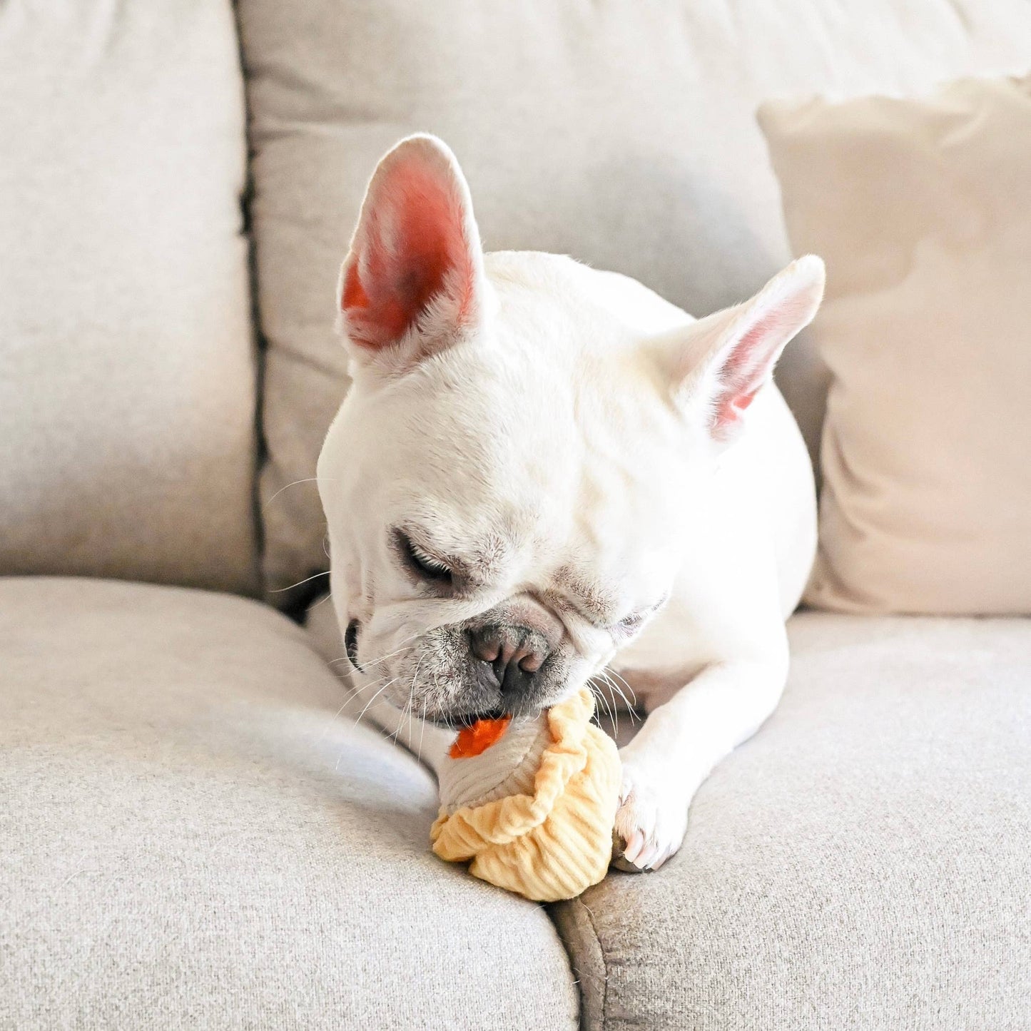 DIM SUM POP // Enrichment dog toy