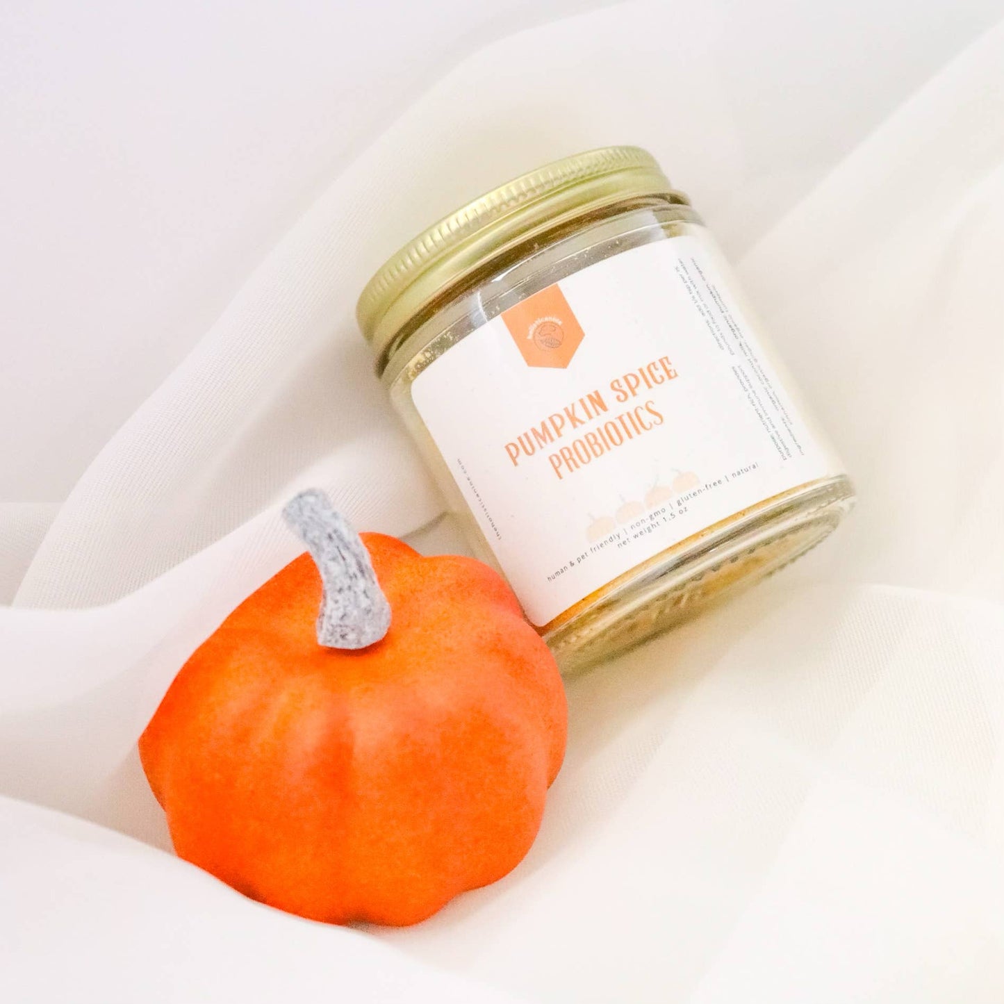 Organic Pumpkin Spice Probiotics Supplement: Coconut Milk | Holisticanine