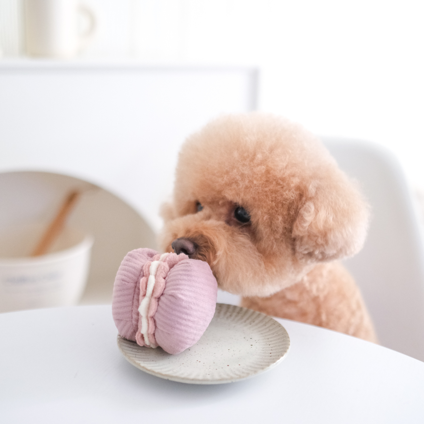 PETITE TWO/ENRICHMENT DOG TOY | Lambwolf Collective