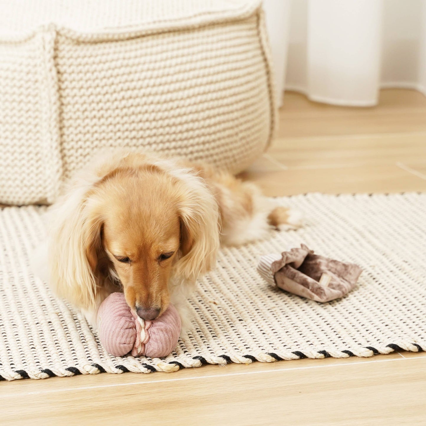PETITE TWO/ENRICHMENT DOG TOY | Lambwolf Collective