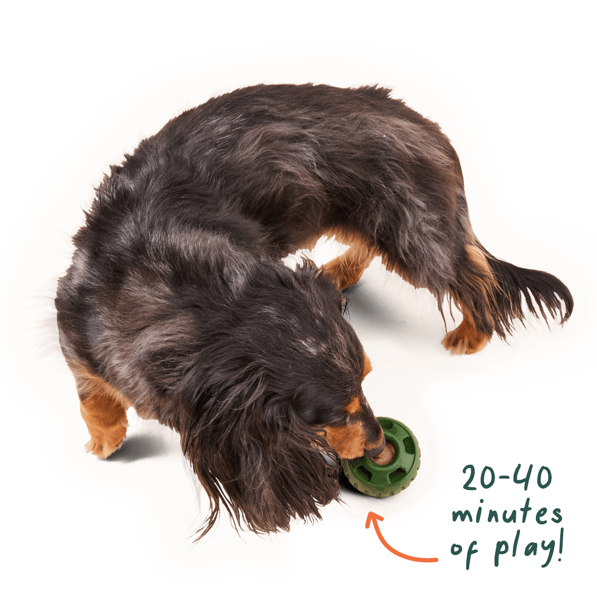 Beef Pupsicle Pops | Woof