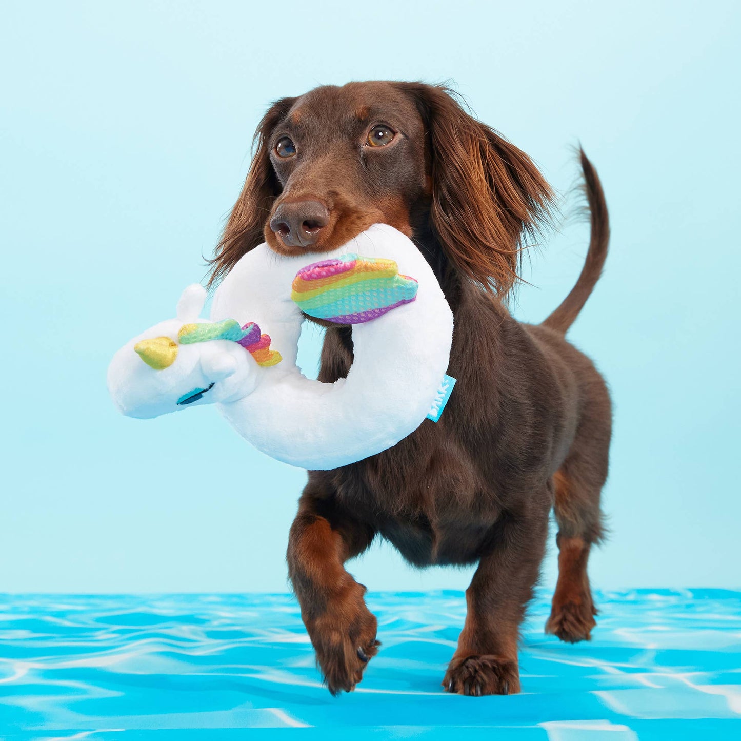 Tina the Tubular Unicorn Plush Dog Toy | BARK