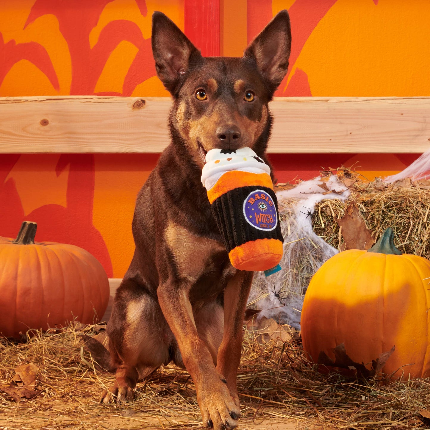 Spooky Boo Brew Plush Dog Toy | BARK