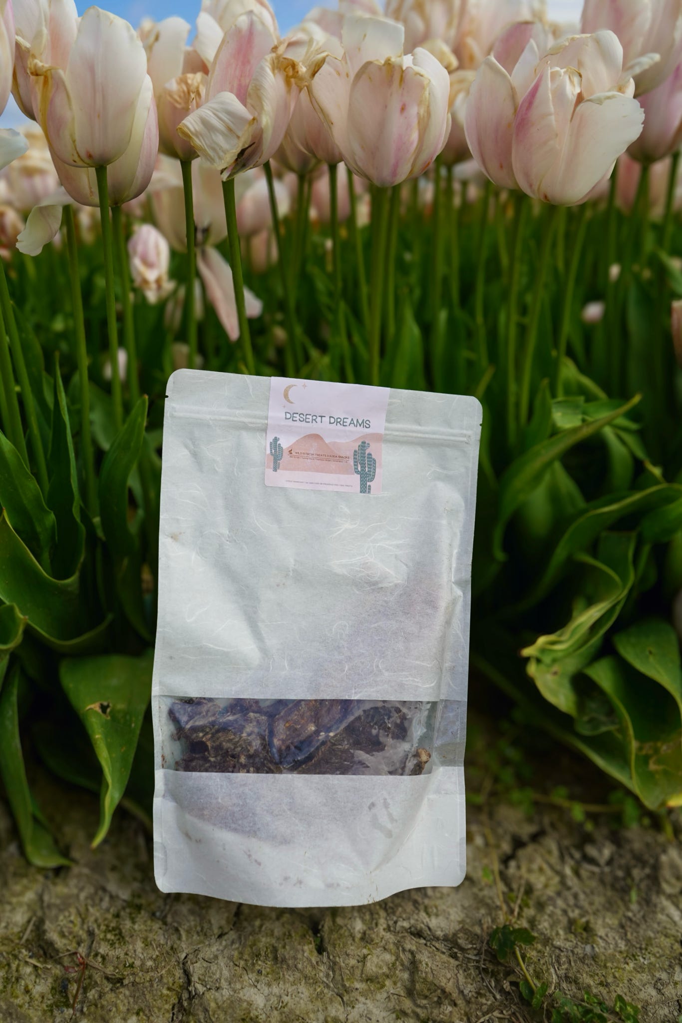 Desert Dreams Grab Bag | Wild n Fresh Treats x Koda Snacks