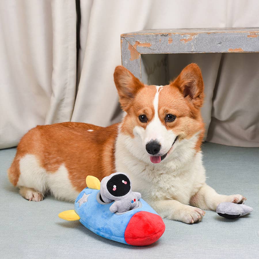 Space Paws Rocket - Interactive Toy | HugSmart Pet