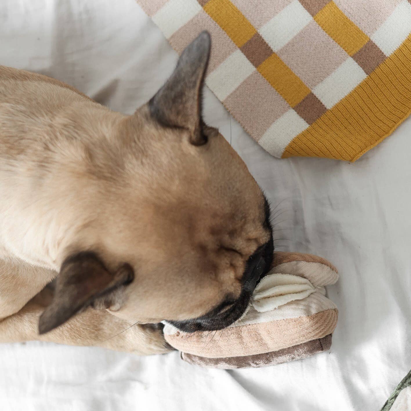 ECLAIR/ENRICHMENT DOG TOY | Lambwolf Collective