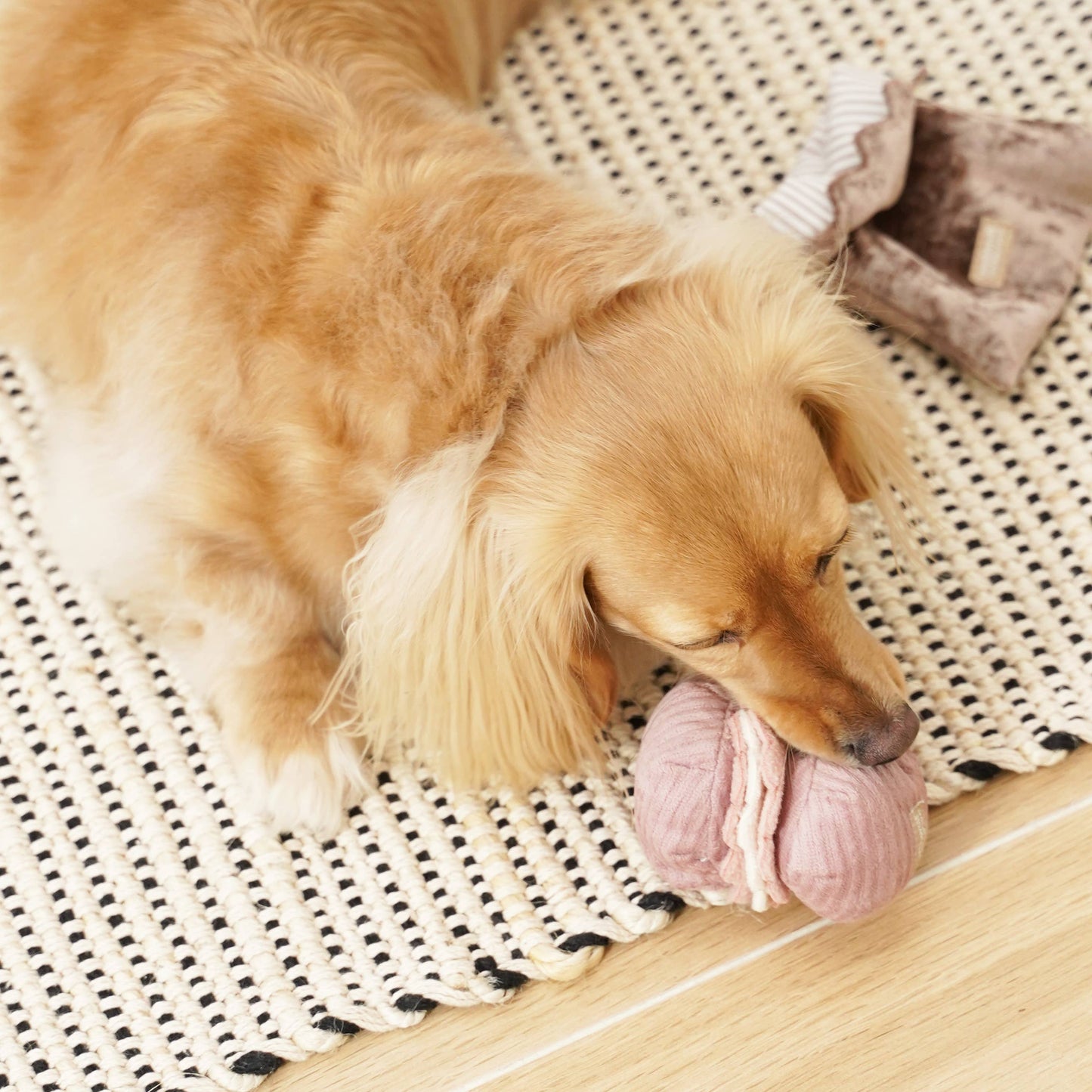 PETITE TWO/ENRICHMENT DOG TOY | Lambwolf Collective