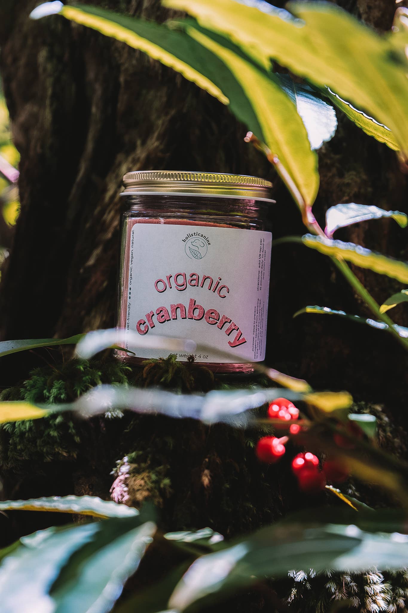 Organic Cranberry Supplement