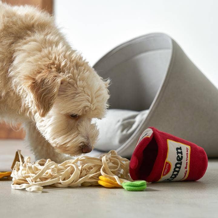 Ramen Noodle Nosework Toy
