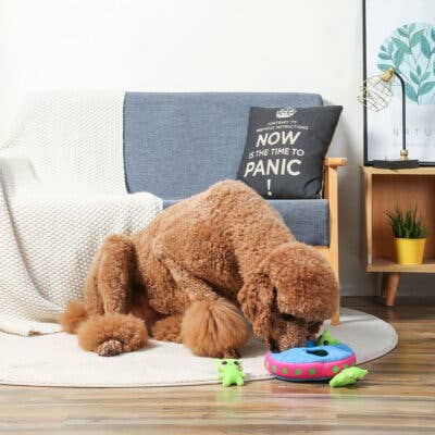 Space Paws Aliens - Interactive Toy | HugSmart Pet