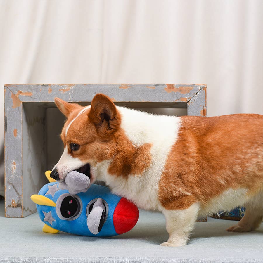 Space Paws Rocket - Interactive Toy | HugSmart Pet