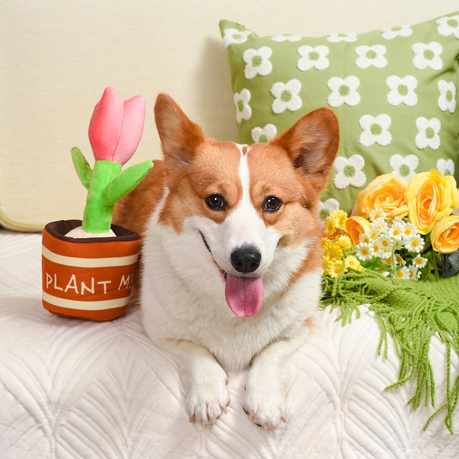 Puppy Garden Tulip - Dog Plush Toy | HugSmart Pet