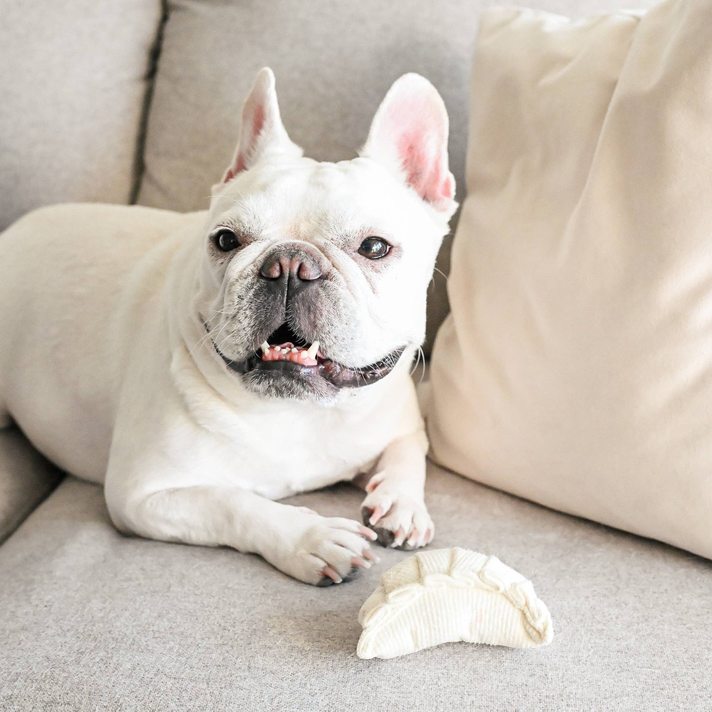 DIM SUM POP // Enrichment dog toy