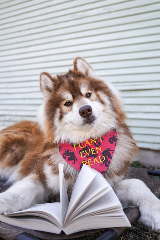 I Can't Even Read Bandana | Arlow & Co