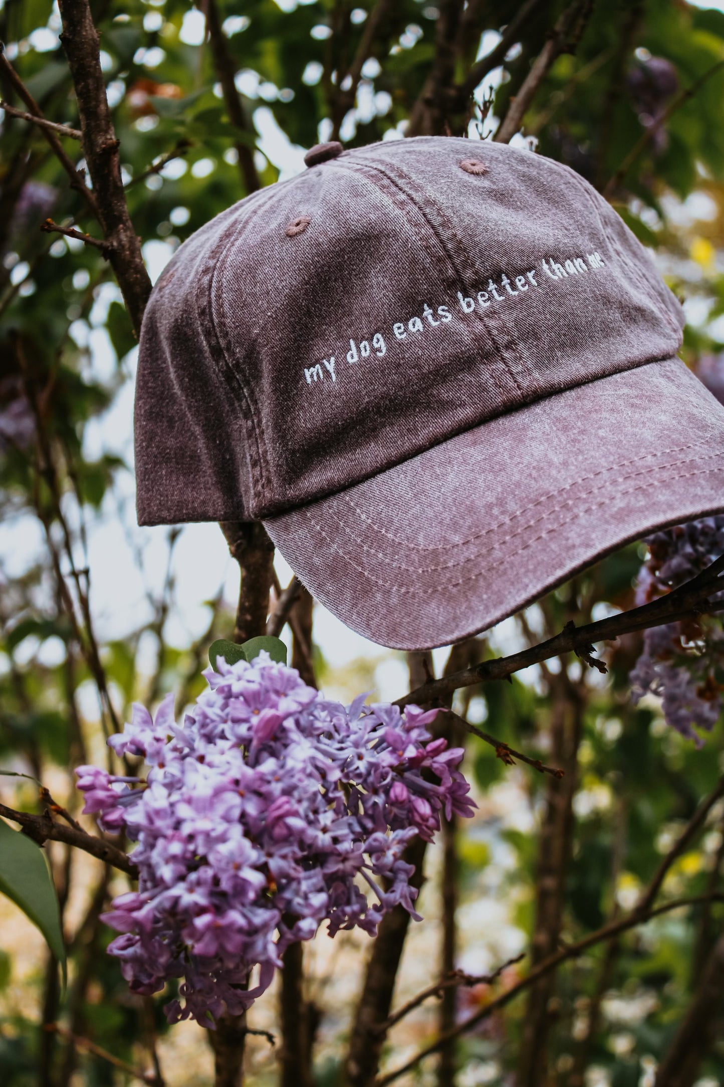 'My Dog Eats Better Than Me" Baseball Cap | Koda Snacks