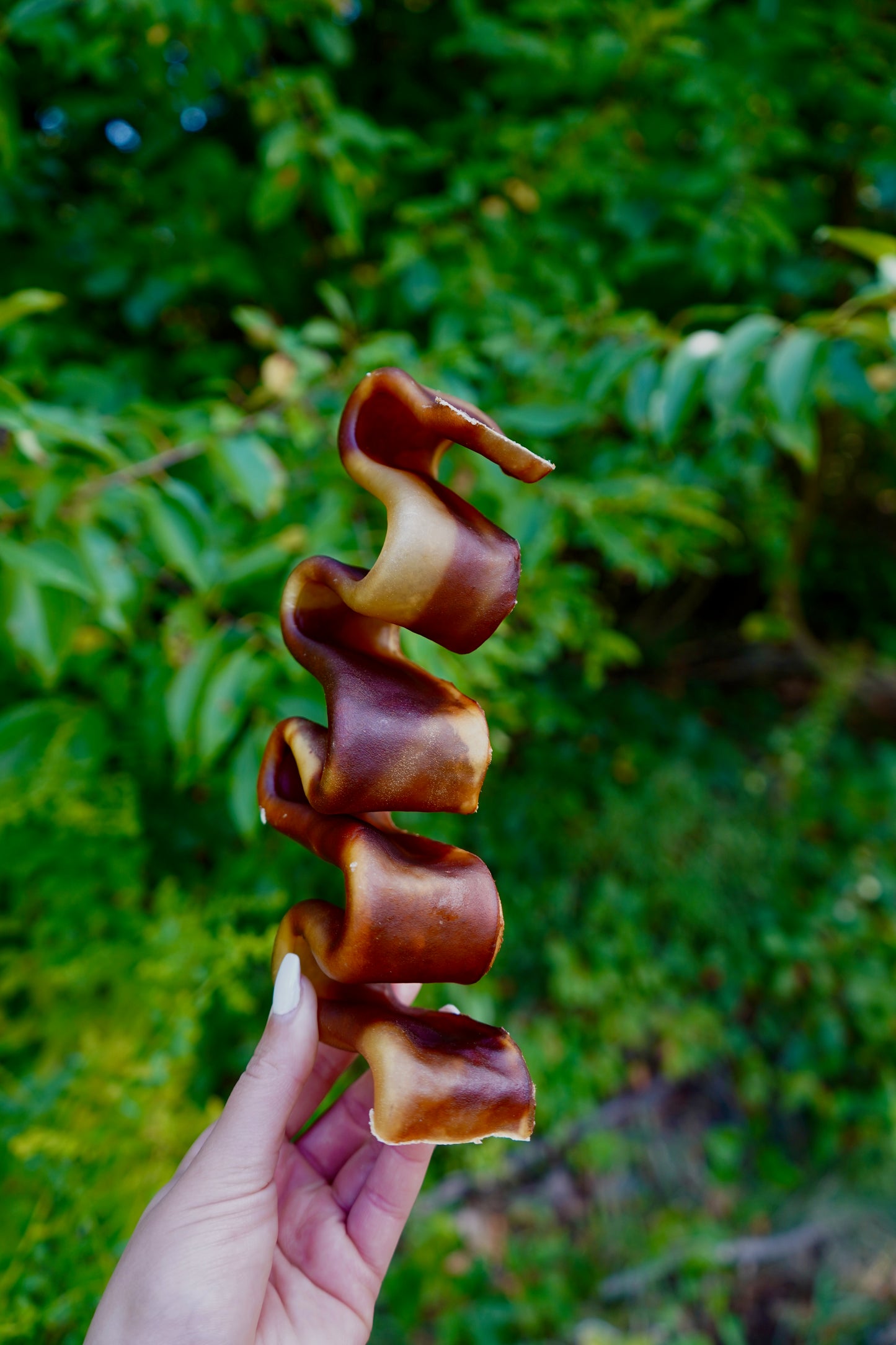 Beef Collagen Wavy Puzzler 10-12"