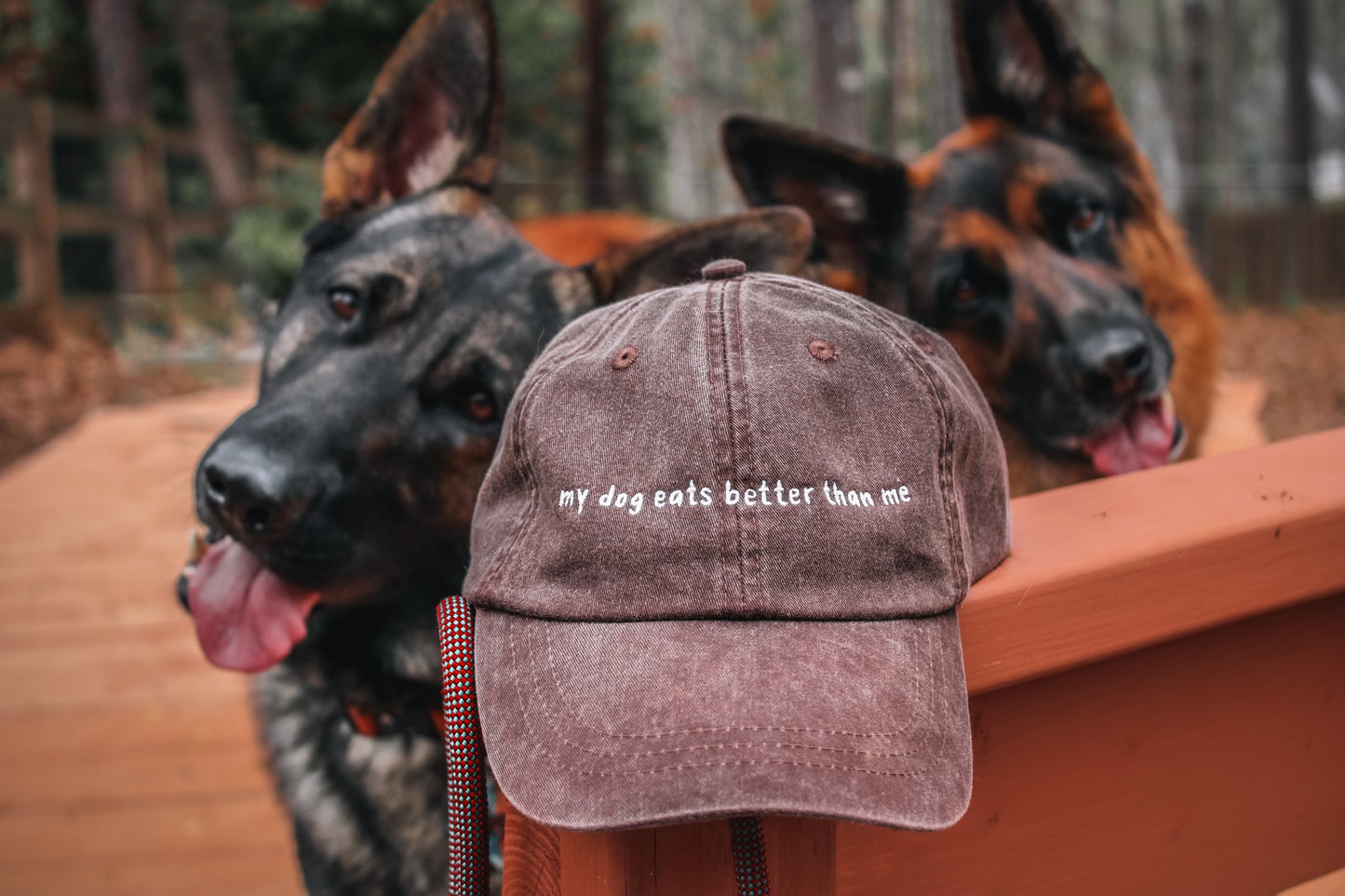 'My Dog Eats Better Than Me" Baseball Cap | Koda Snacks