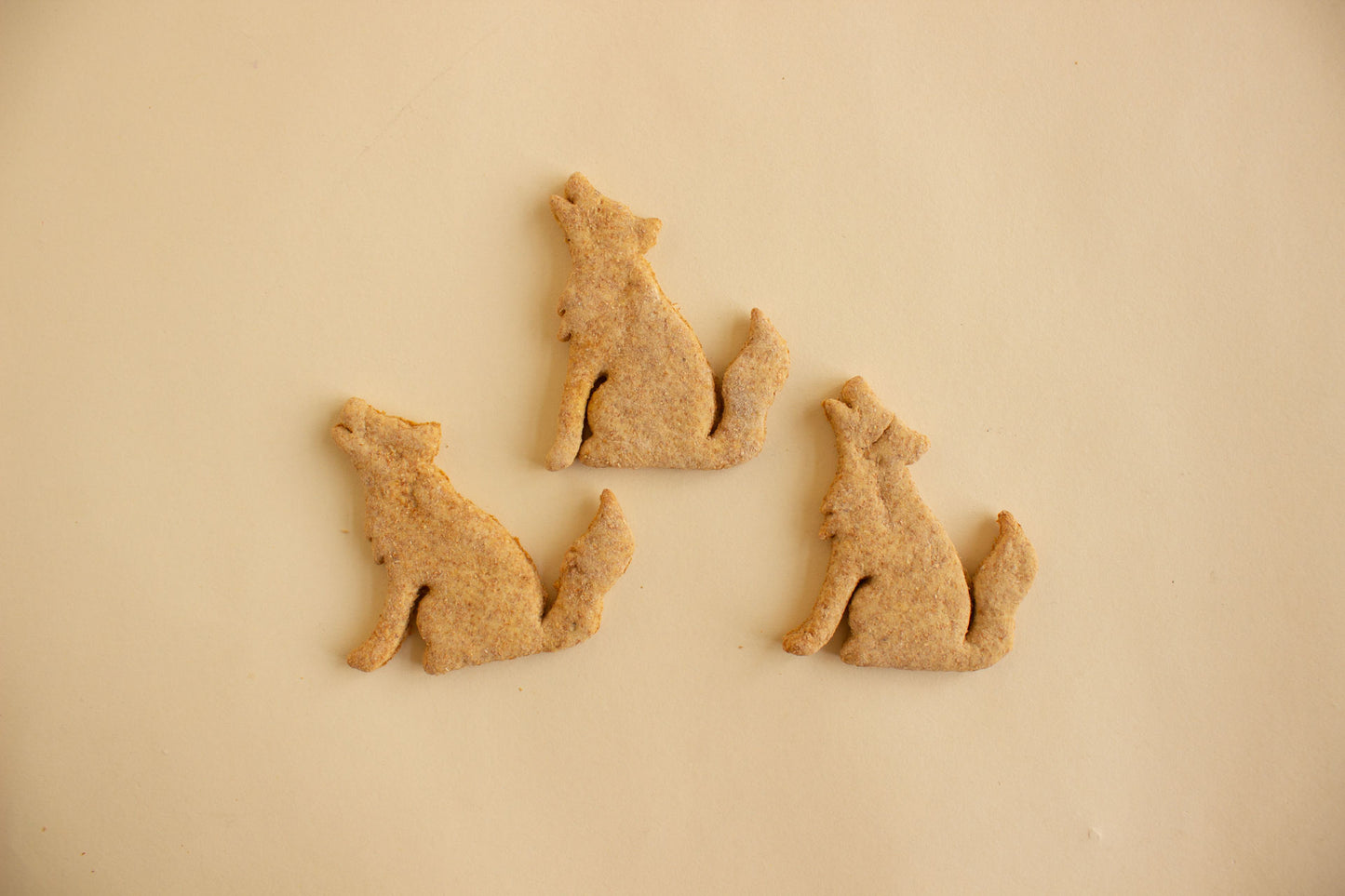 Howling Coyote Cookie - Individual