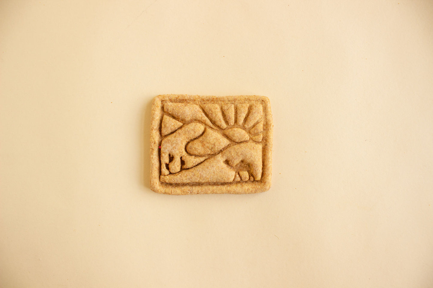Desert Landscape Cookie - Individual