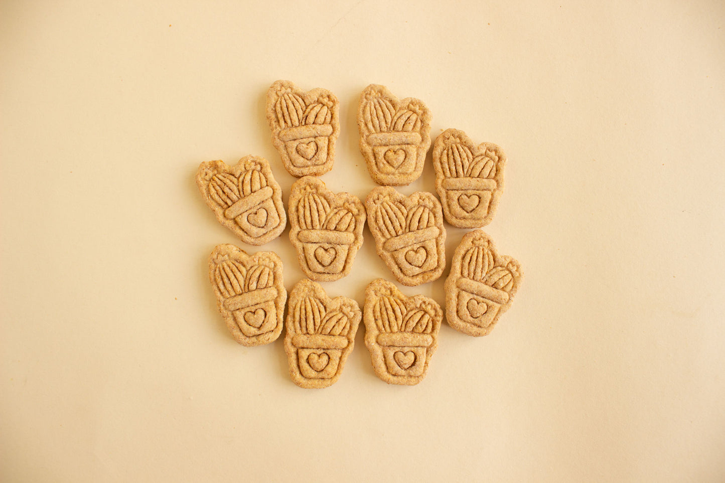 Mini Cactus - 10pc
