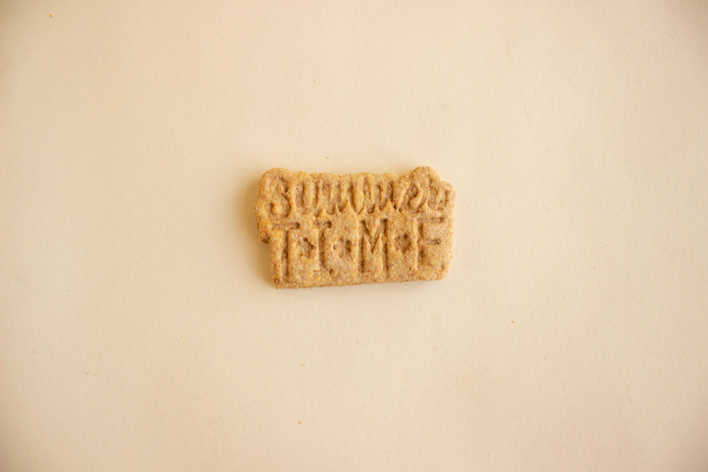 'Summer Time' Cookie - Individual