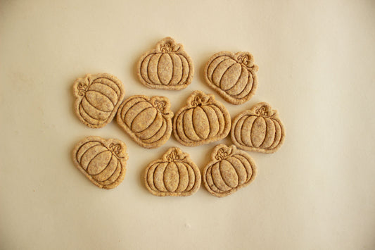 Mini Pumpkins 10pc
