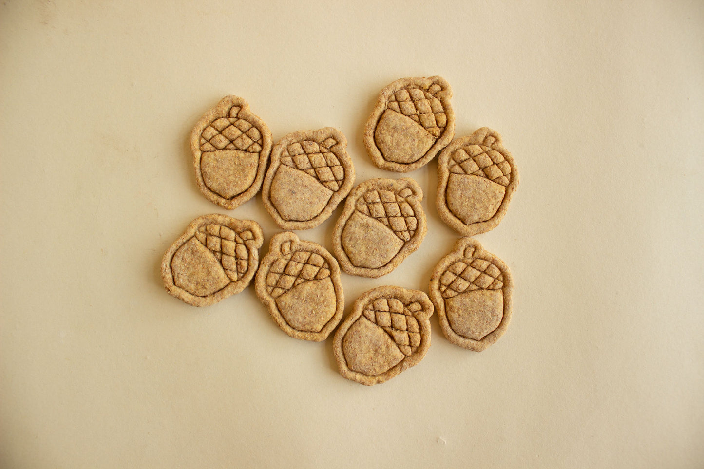 Mini Acorns 10pc