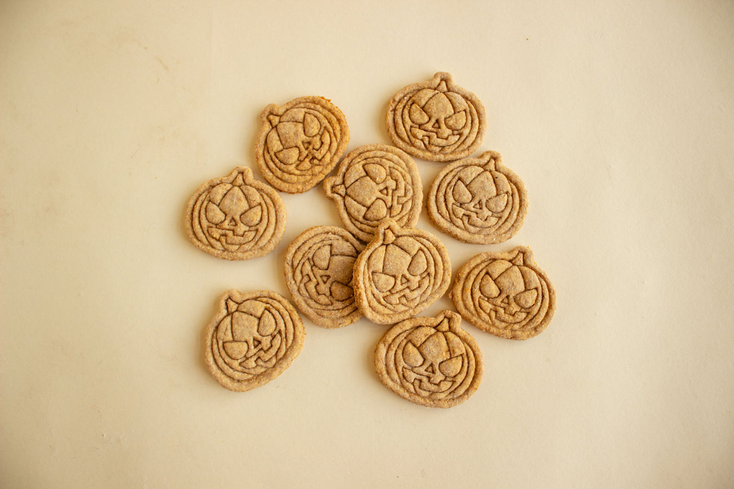 Mini Jack o Lanterns 10pc