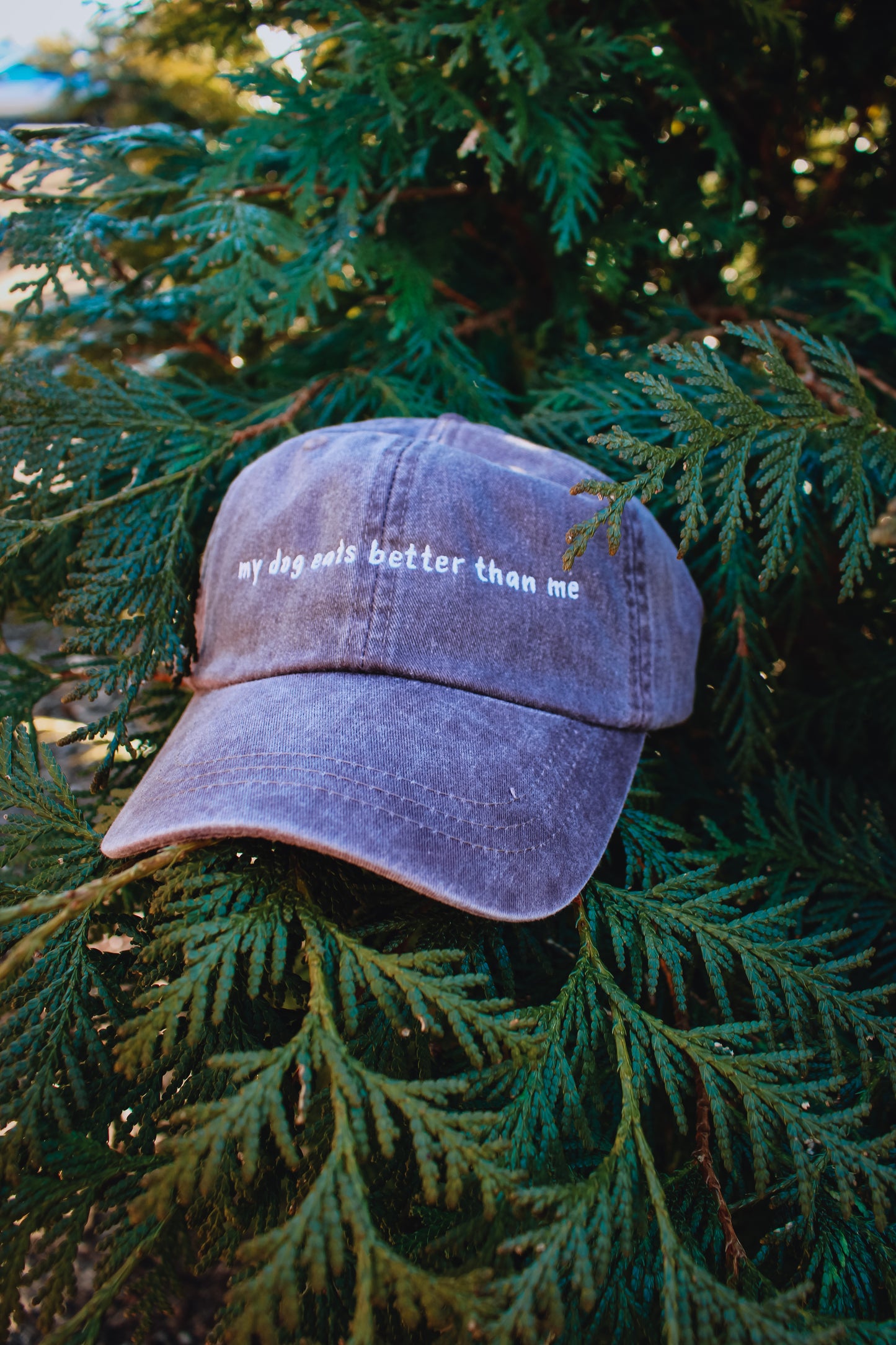 'My Dog Eats Better Than Me" Baseball Cap | Koda Snacks