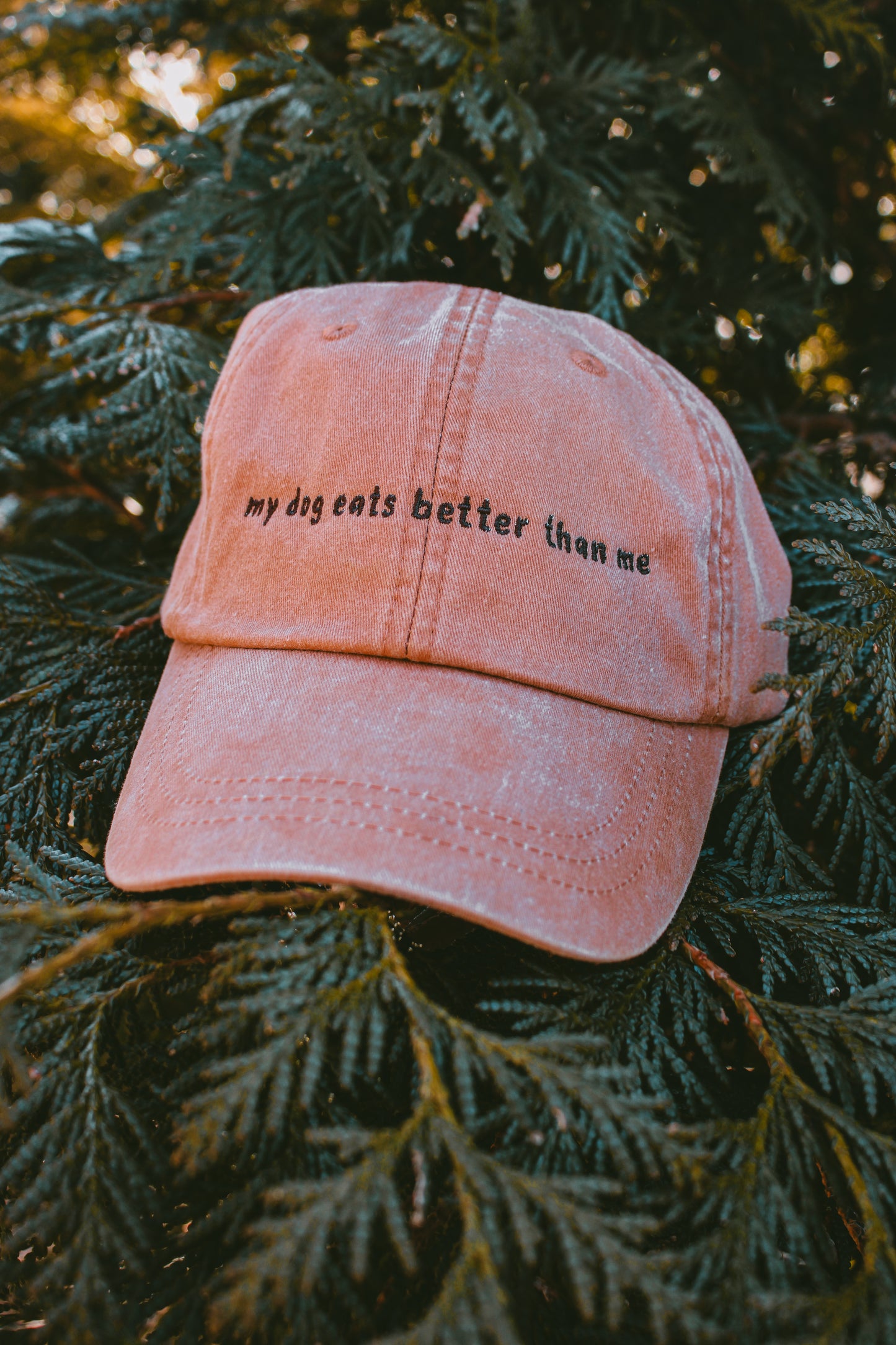 'My Dog Eats Better Than Me" Baseball Cap | Koda Snacks