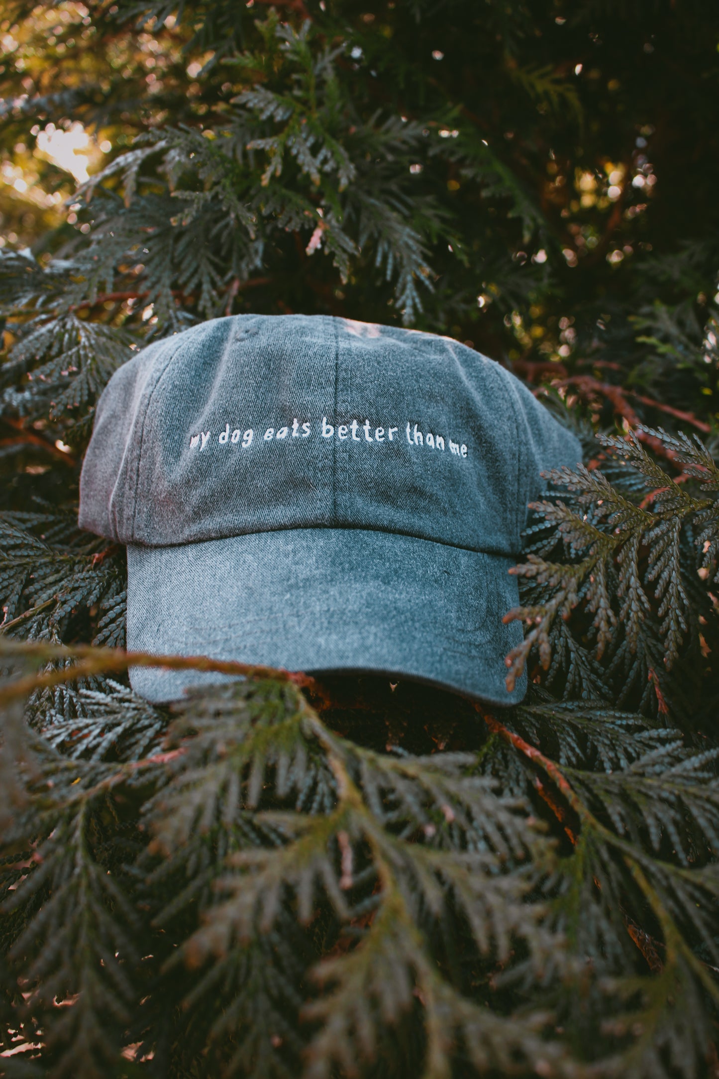 'My Dog Eats Better Than Me" Baseball Cap | Koda Snacks