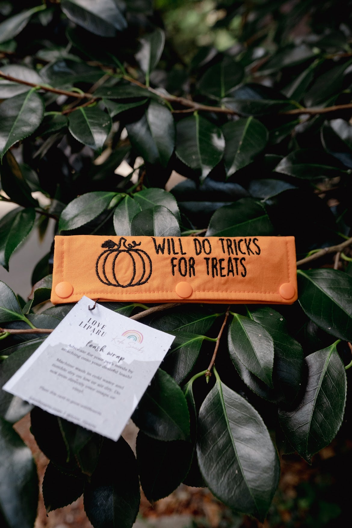 Koda Snacks x Love Liparu Leash Wrap | Will Do Tricks for Treats
