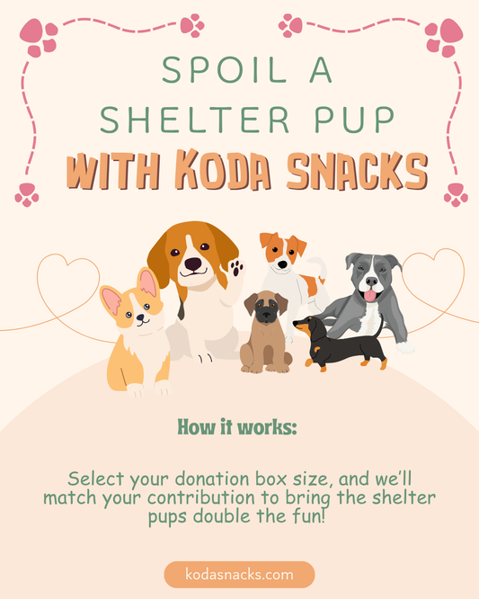 Spoil a Shelter Pup Box