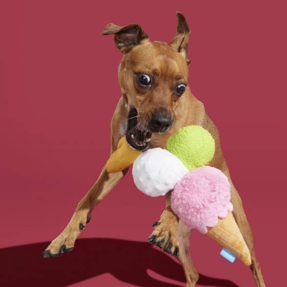 Gelato della D'oggo Plush Dog Toy | BARK