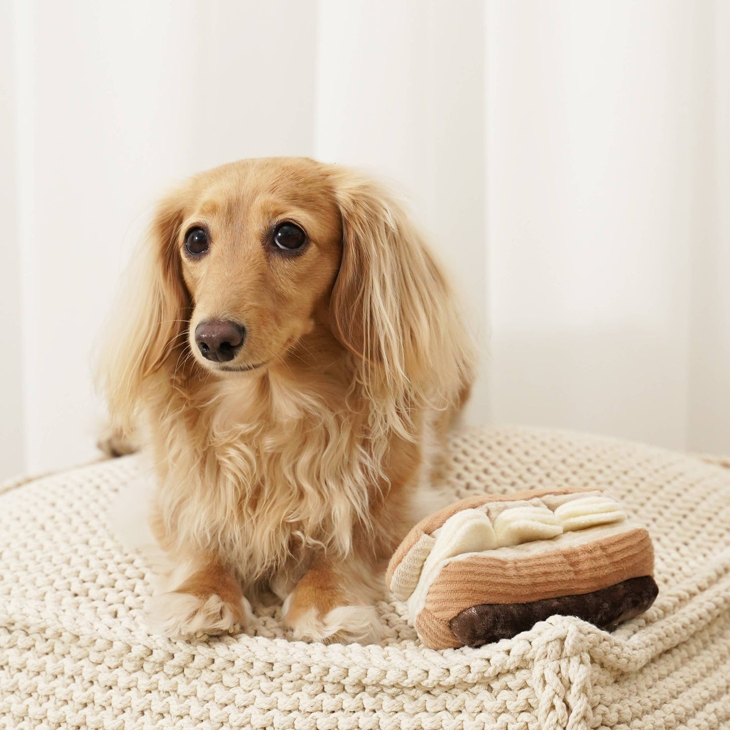 ECLAIR/ENRICHMENT DOG TOY | Lambwolf Collective