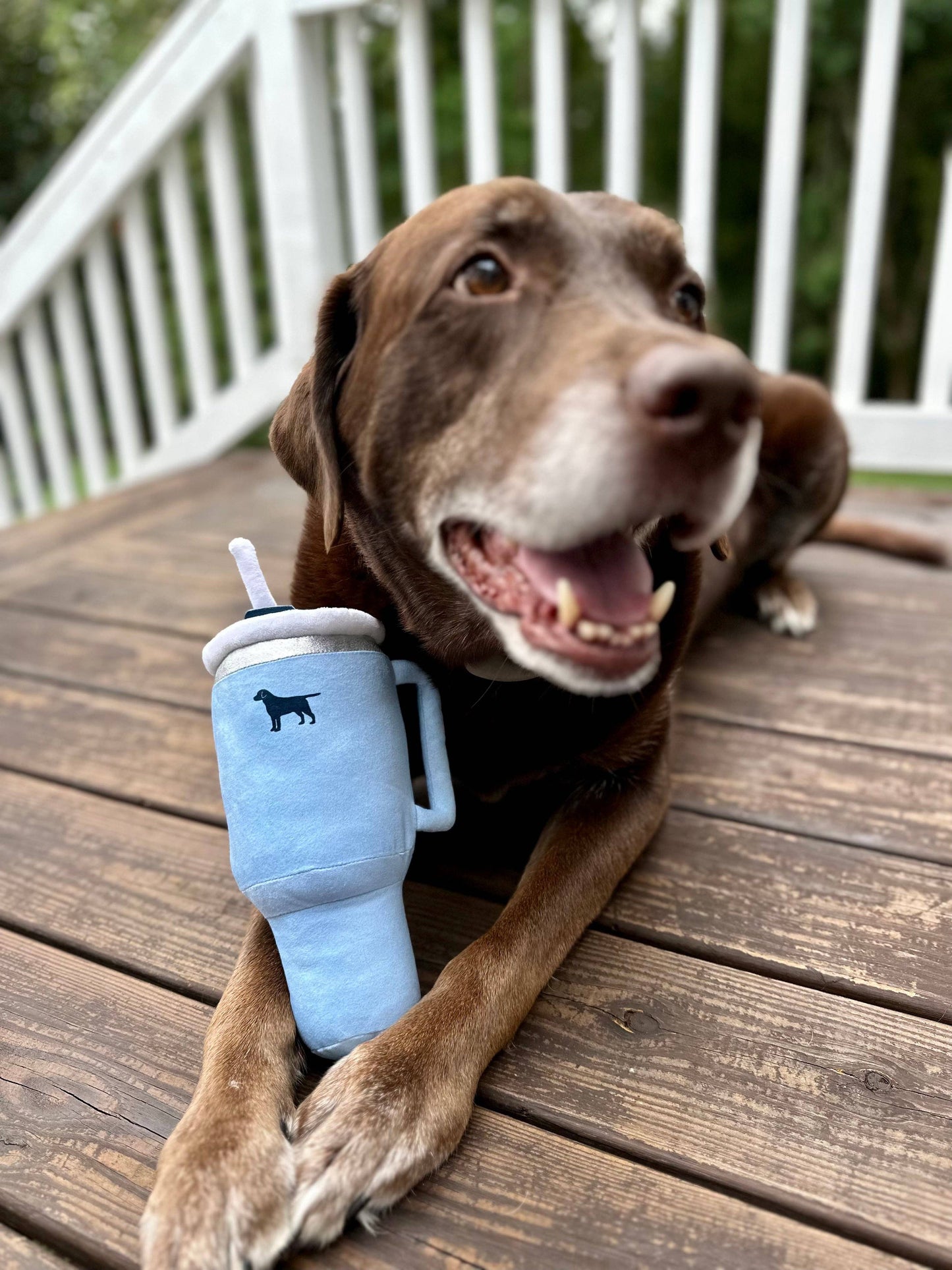 Pup Cup Tumbler Plush Squeaker Dog Toy: Chambray Blue