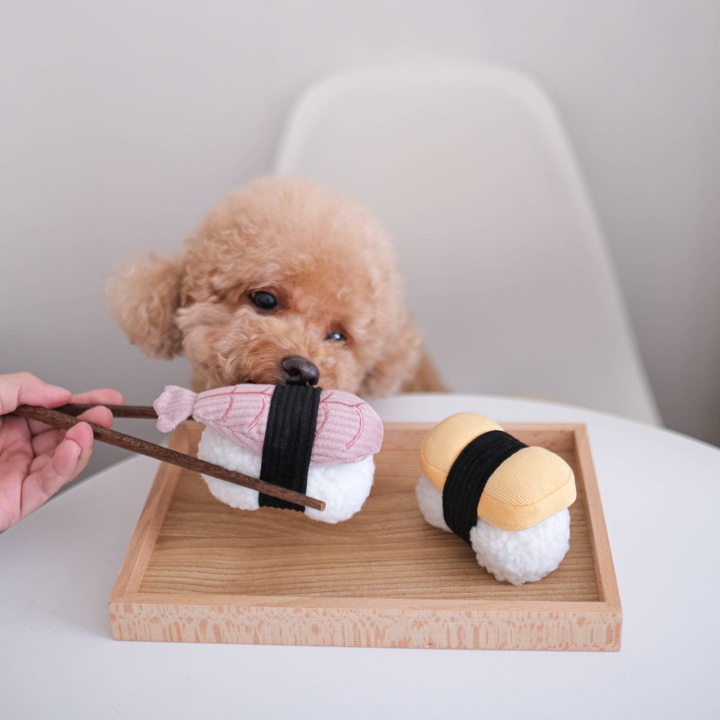 SUSHI // Enrichment dog toy