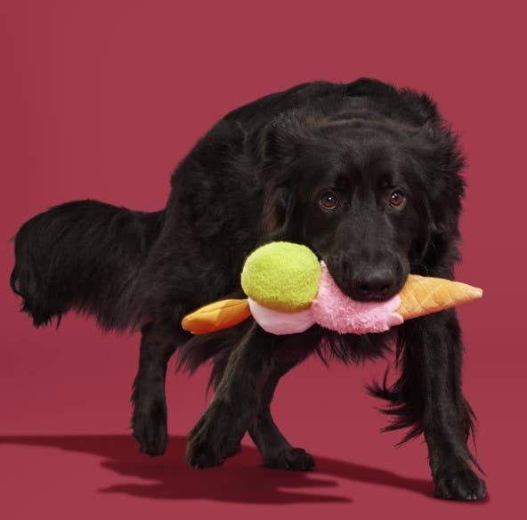 Gelato della D'oggo Plush Dog Toy | BARK