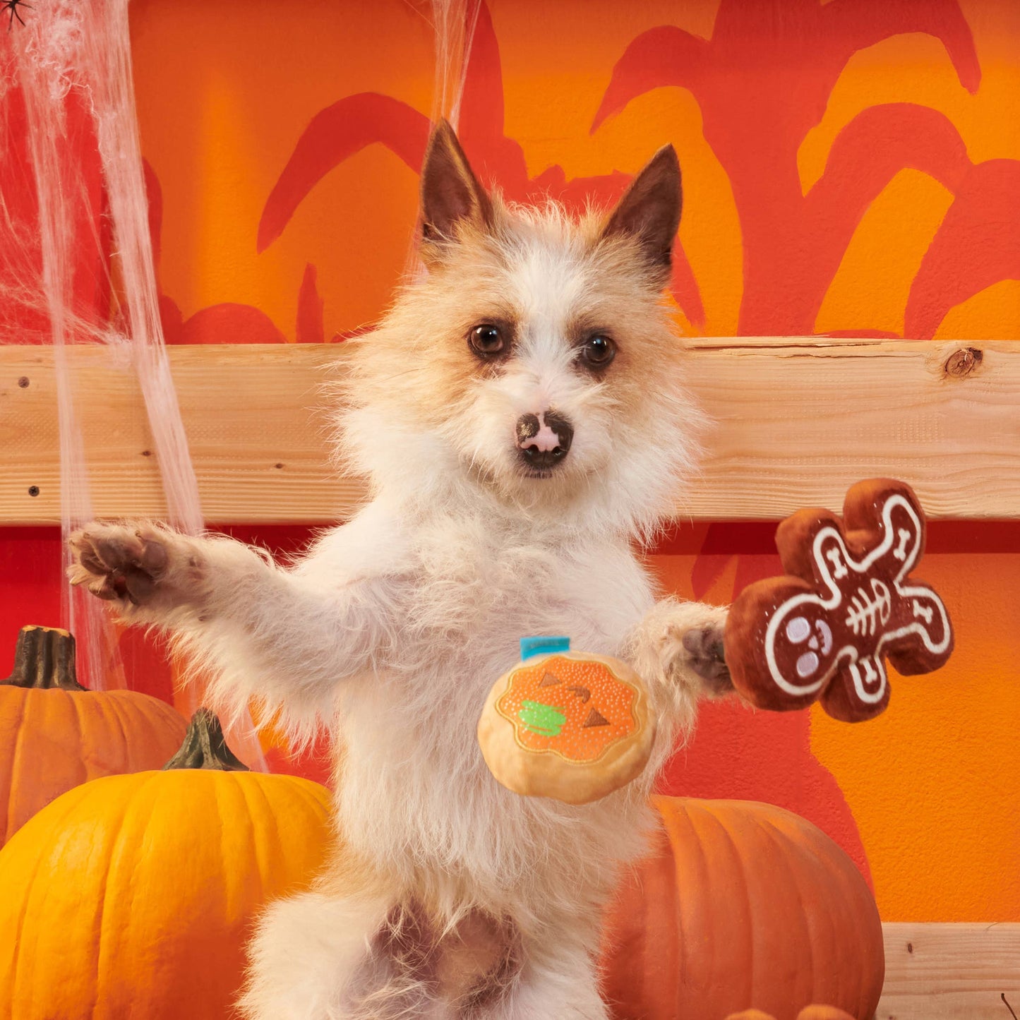 Spookie Cookies Plush Dog Toy | BARK