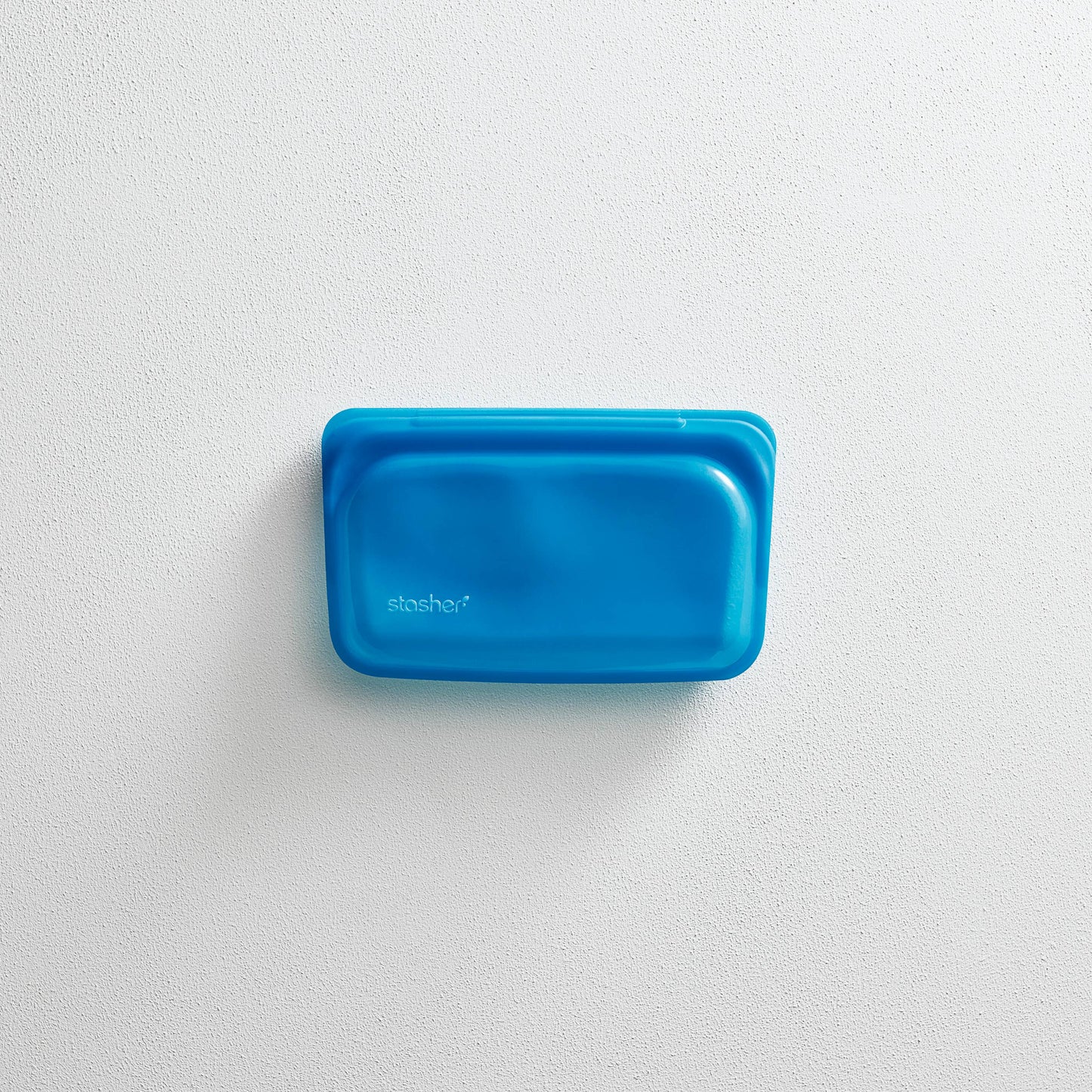 Snack: Blueberry | Stasher