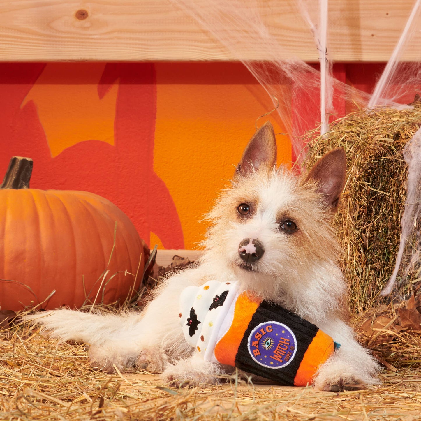 Spooky Boo Brew Plush Dog Toy | BARK