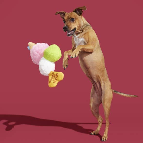 Gelato della D'oggo Plush Dog Toy | BARK