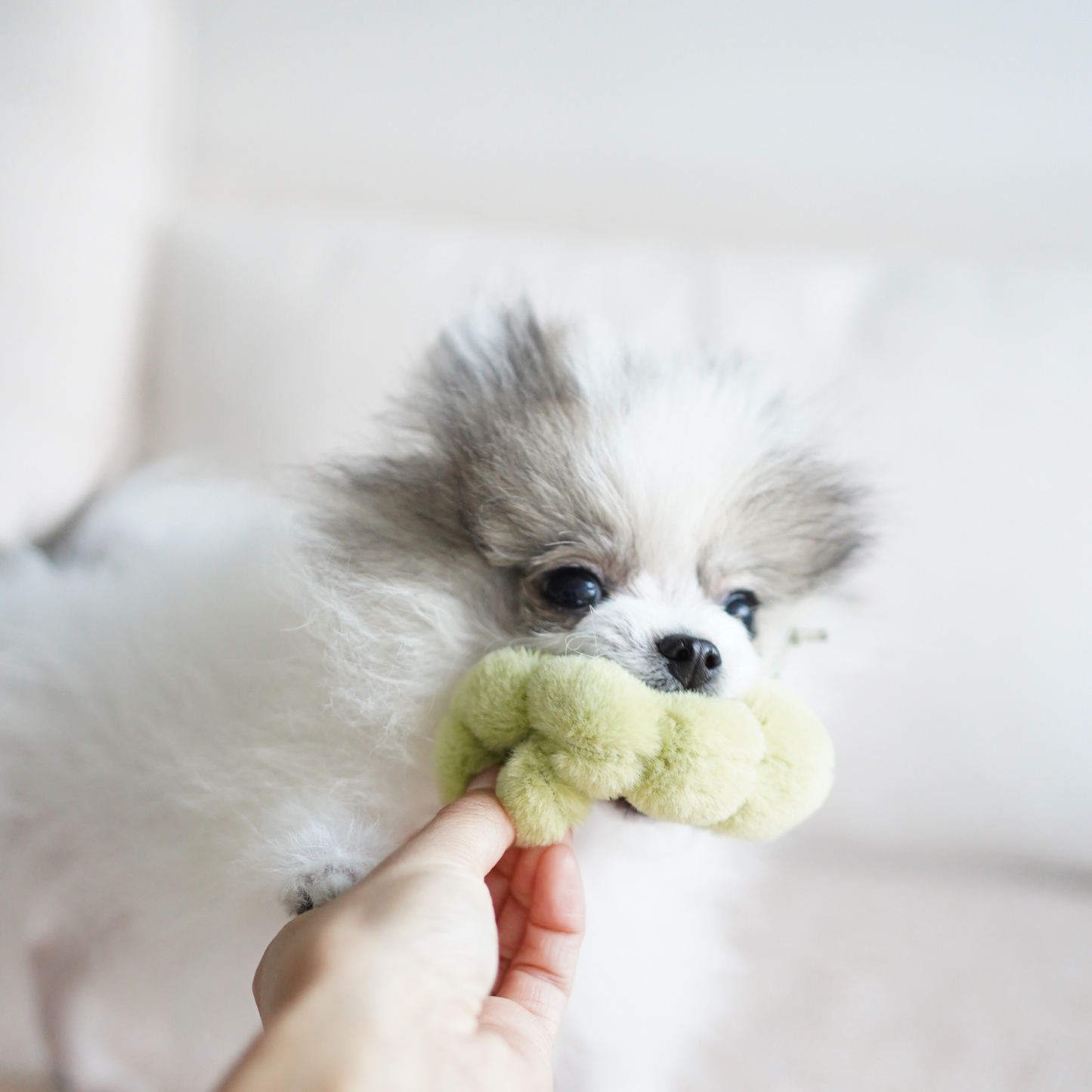 APPLE/ ENRICHMENT TOY SET// SNUFFLE TOY | Lambwolf Collective