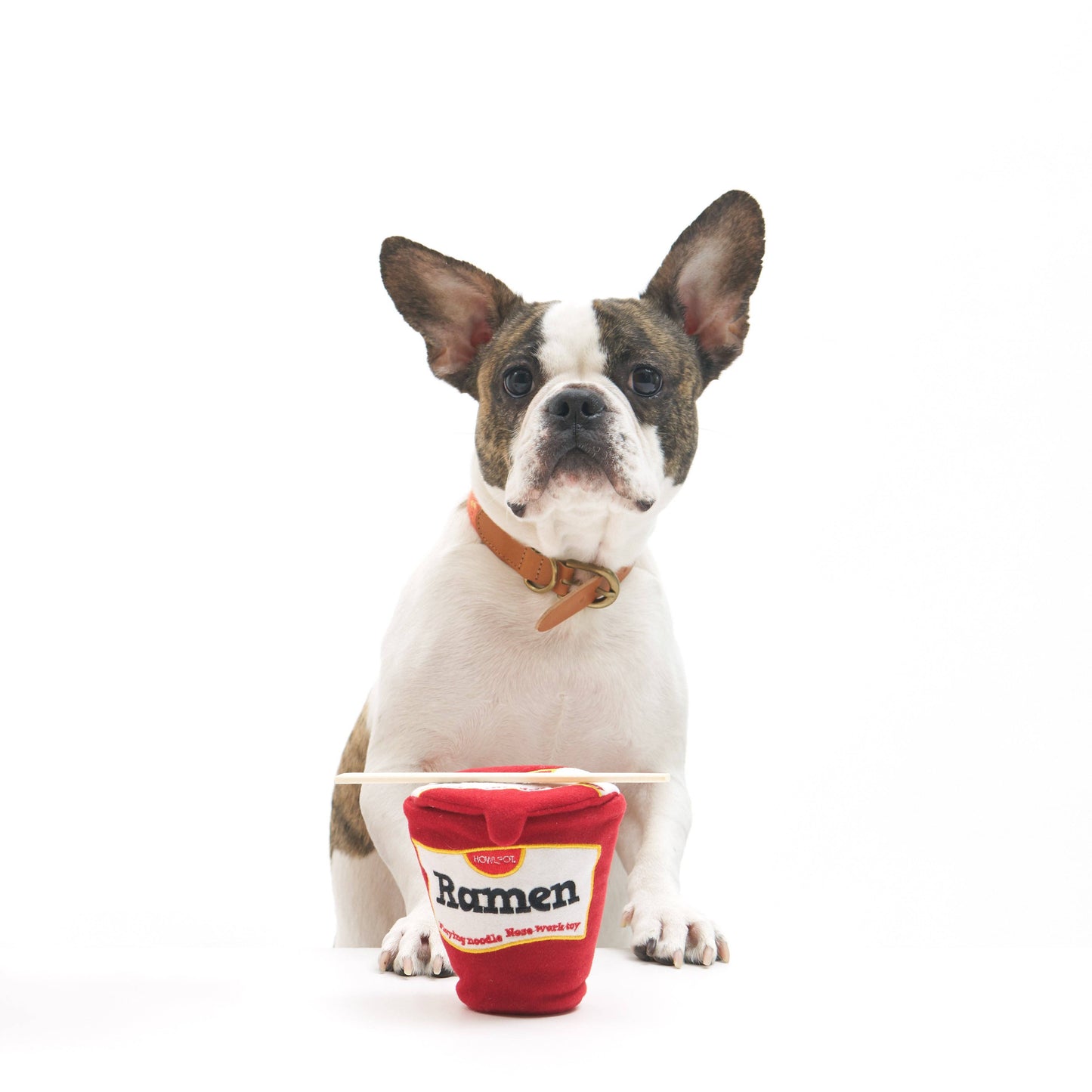 Ramen Noodle Nosework Toy