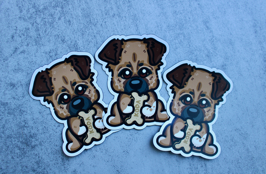 Personalized Bone Magnet