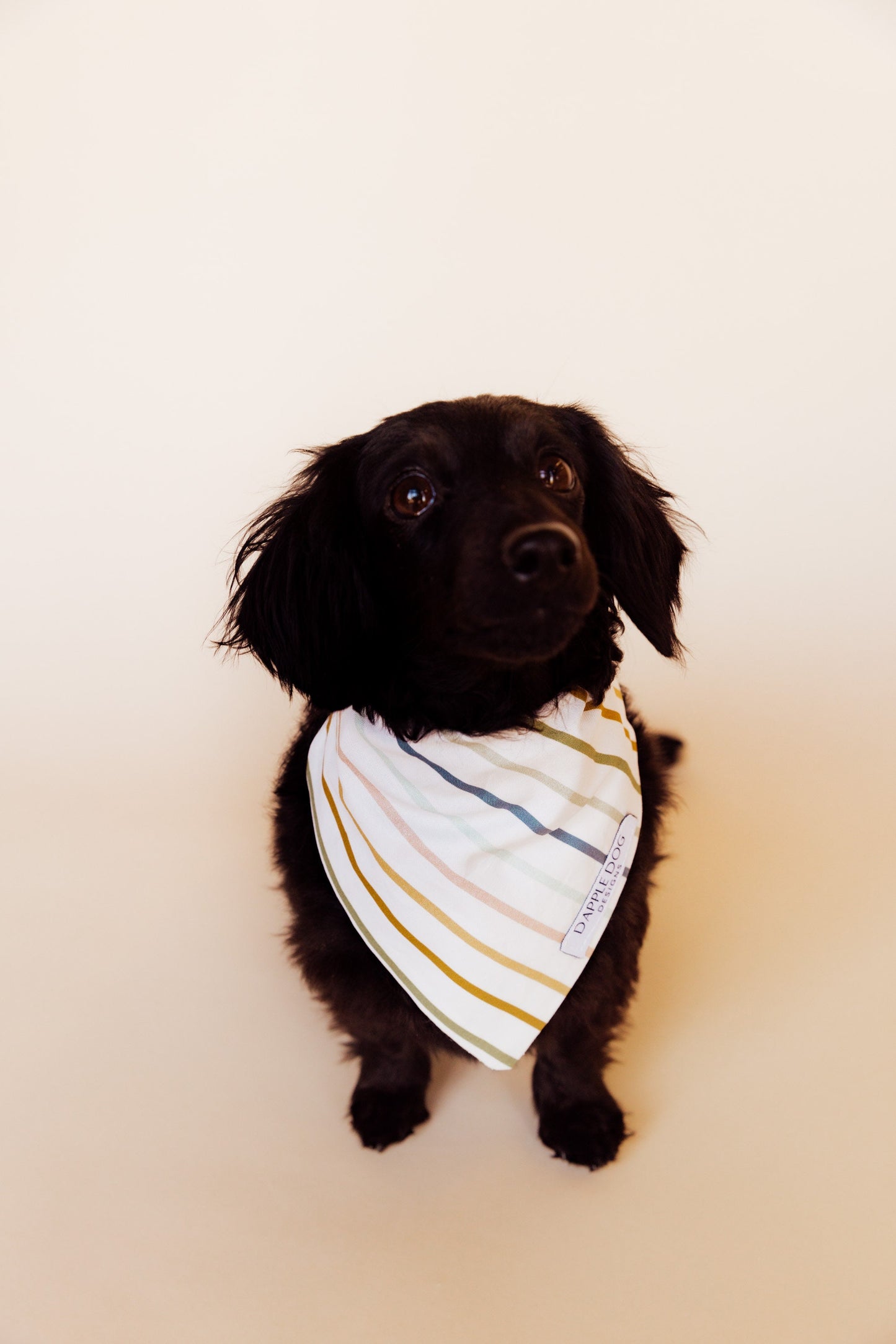 Spring Stripes Bandana