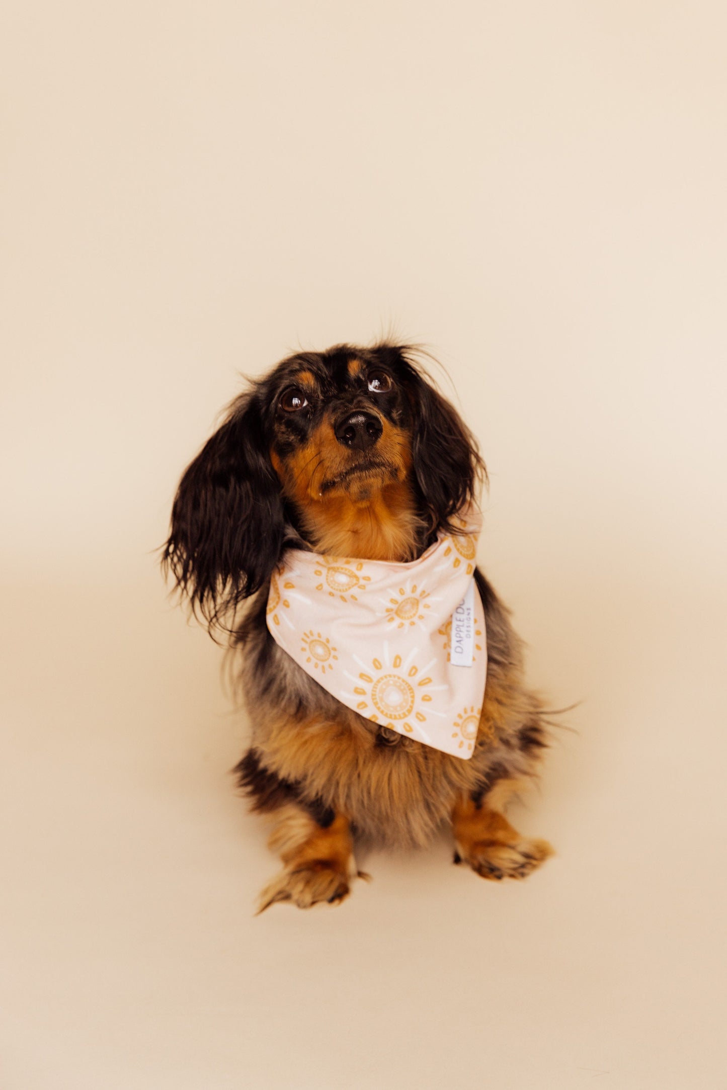 Sunny Spring Bandana