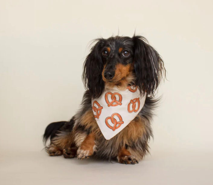 Pretzel Bandana